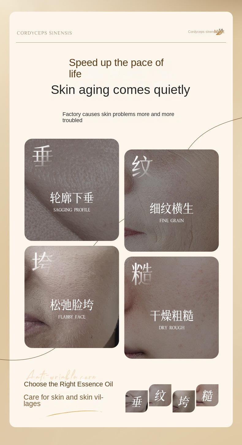 Cordyceps Anti - Wrinkle Essence Oil