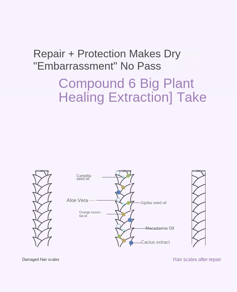 Morocco Argan Hair Repair Capsules