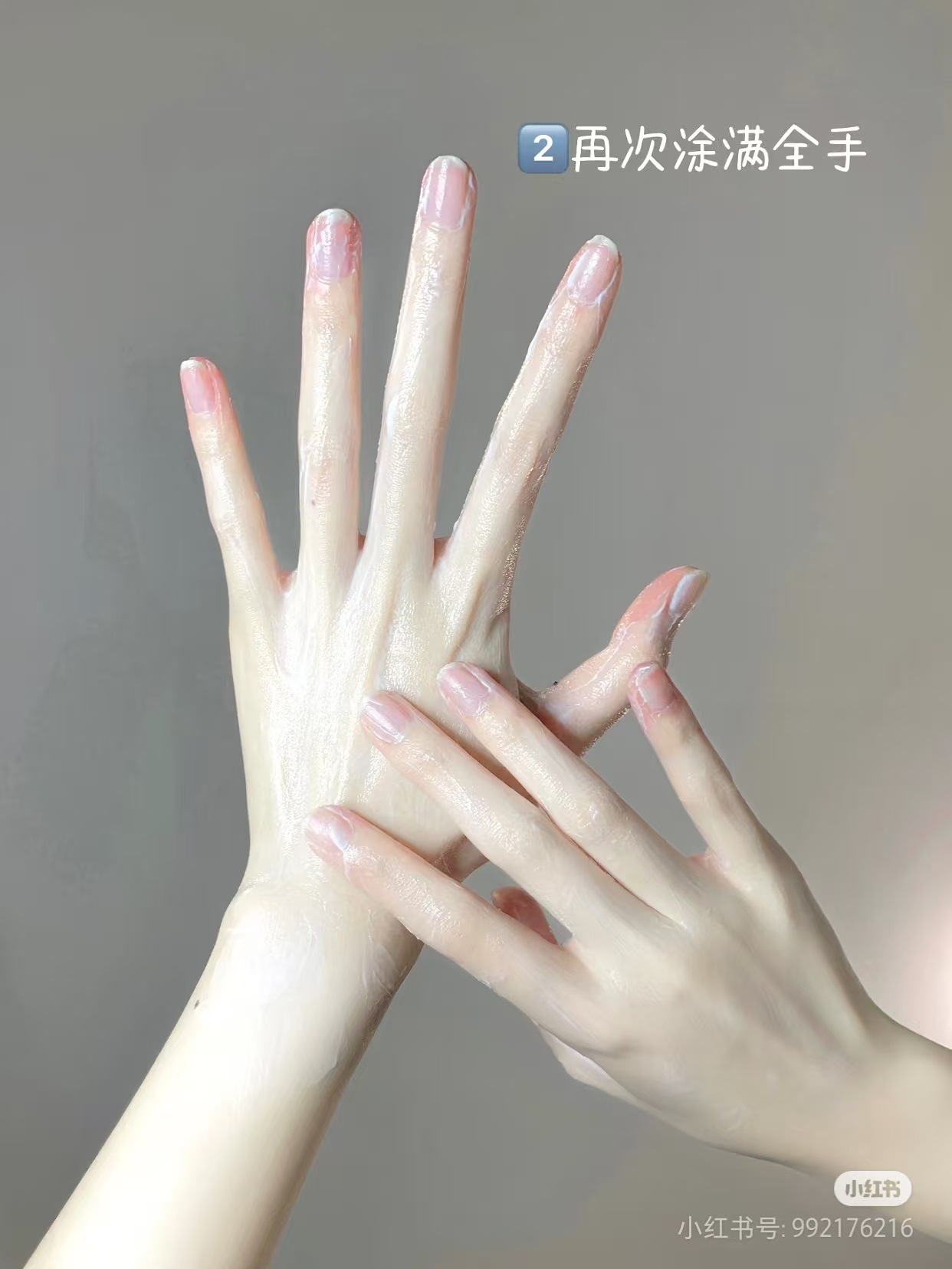 Camellia Hand Cream for Moisturizing
