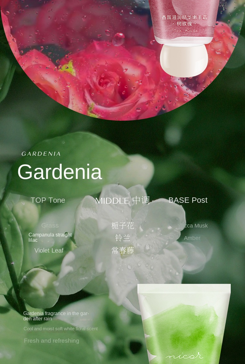Fragrance Moisturizing Hand Cream Set