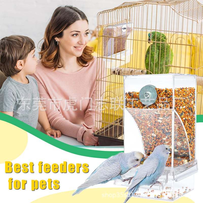 Automatic Transparent Bird Feeder
