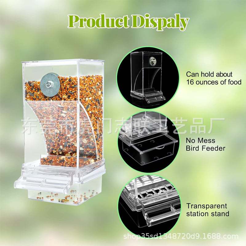 Automatic Transparent Bird Feeder