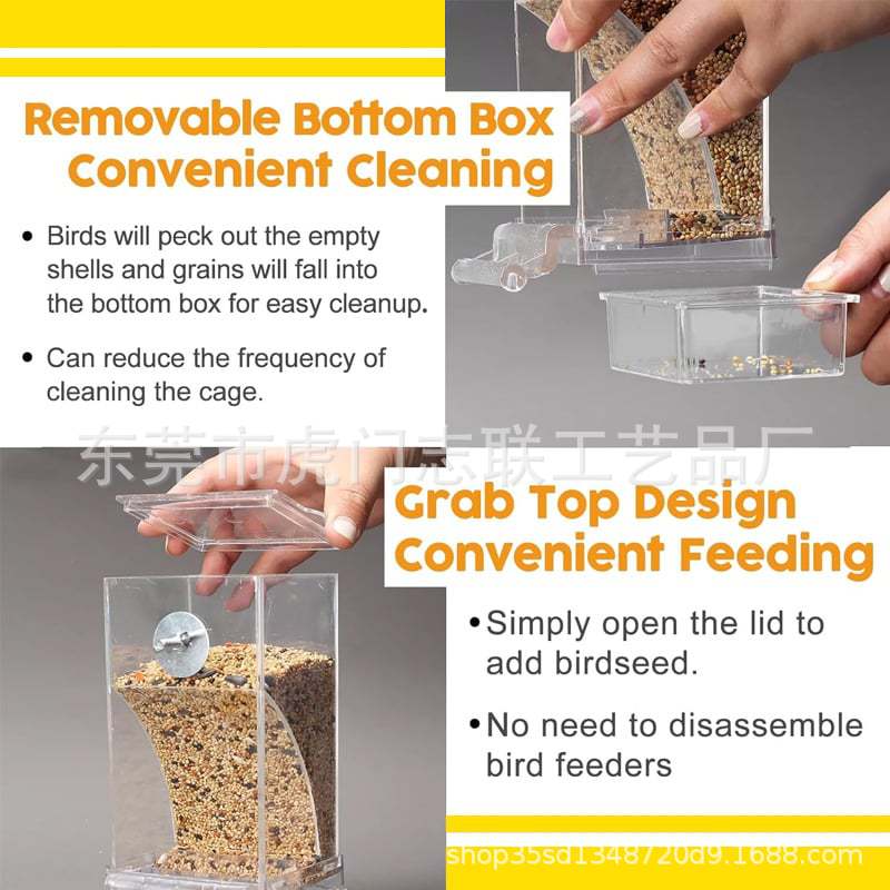 Automatic Transparent Bird Feeder