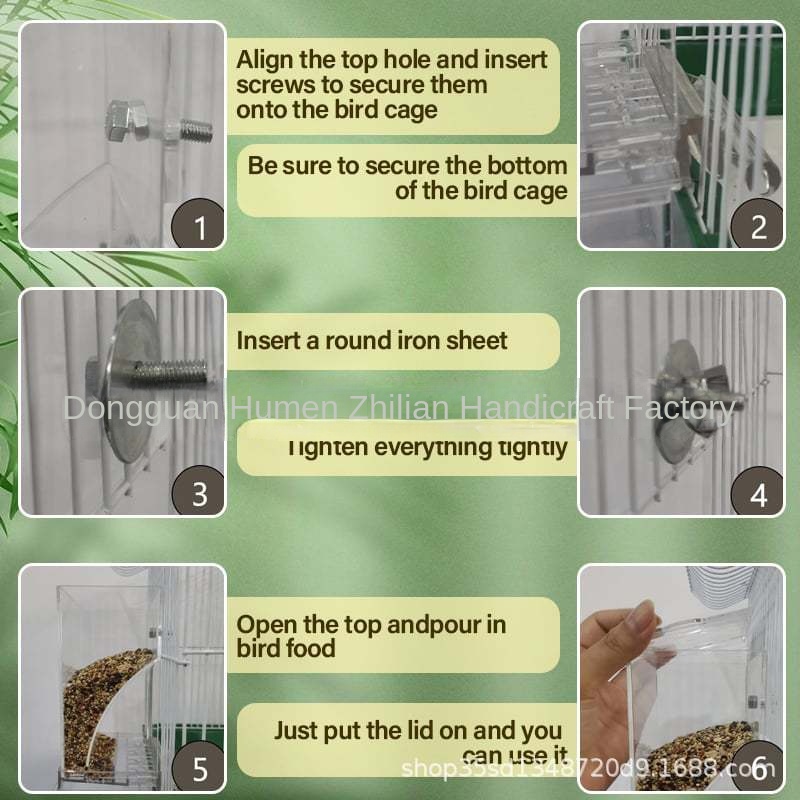 Automatic Transparent Bird Feeder