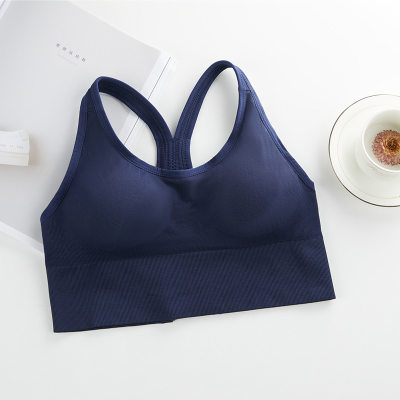 Women's High - Elastic Sports Bra for Fitness