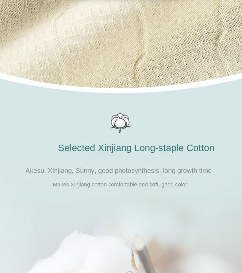 Women's Color - Blocked Cotton Hip - Lifting Underwear