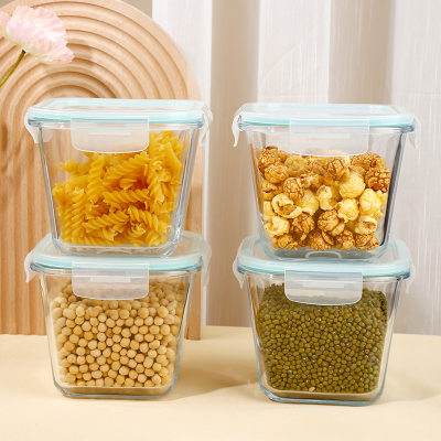 High Borosilicate Glass Lunch Box Set