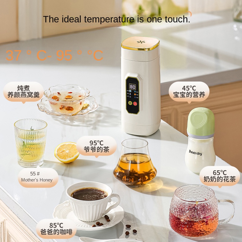 Portable 650ML Electric Heating Cup