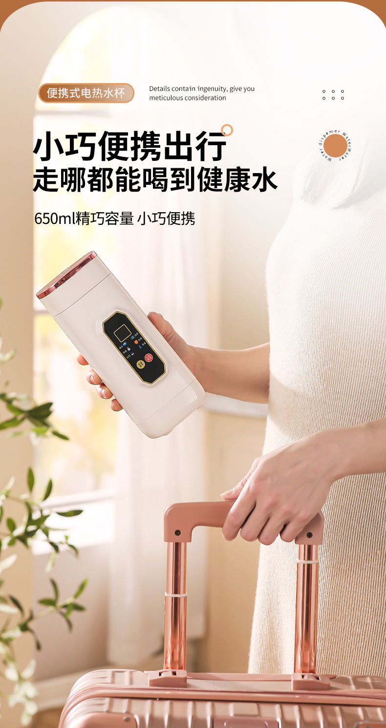 Portable 650ML Electric Heating Cup
