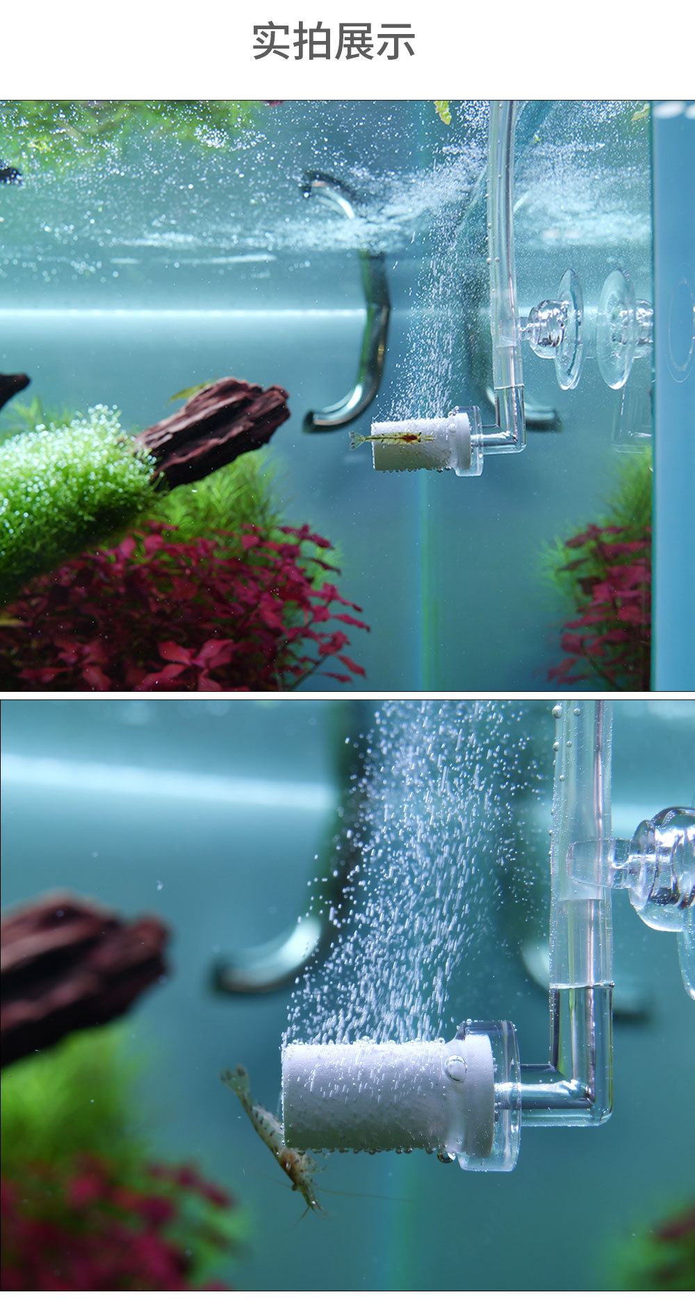 CO2 In-Cylinder Refiner for Aquarium