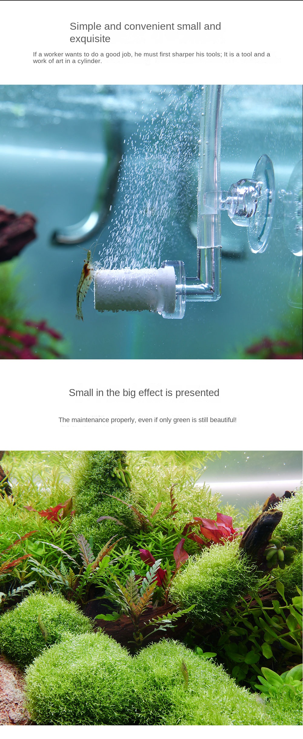 CO2 In-Cylinder Refiner for Aquarium