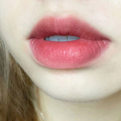 HERORANGE Velvet Matte Lip Mud