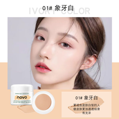 NOVO High Coverage Concealer