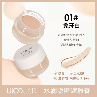 Concealer for Blemishes and Dark Circles