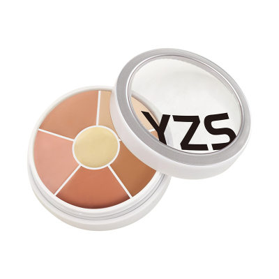 6 COLOR CONCEALER