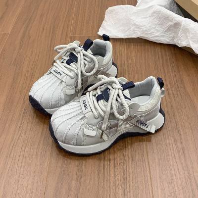Women's Mesh Casual Dad Shoes