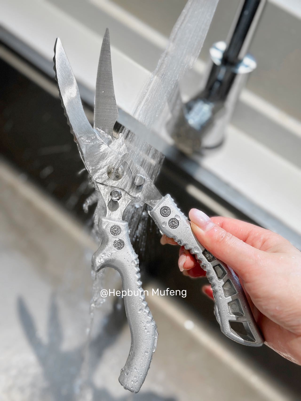 Stainless Steel Kitchen Shears