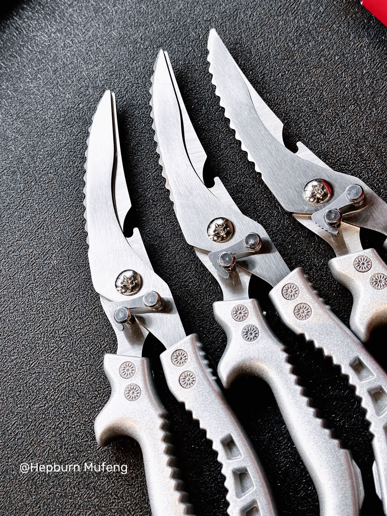 Stainless Steel Kitchen Shears