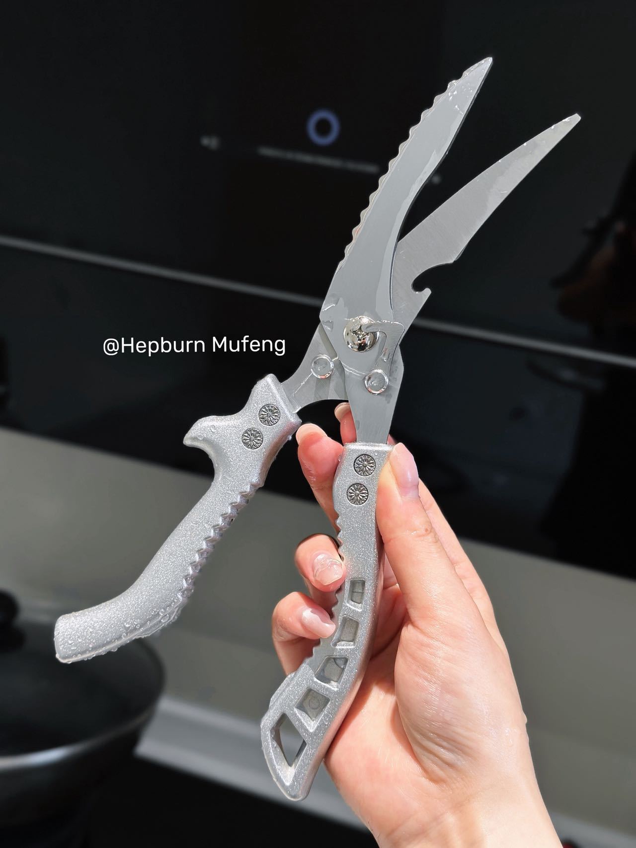 Stainless Steel Kitchen Shears