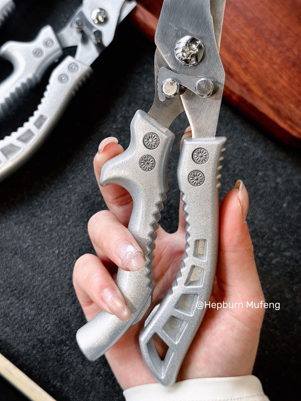 Stainless Steel Kitchen Shears