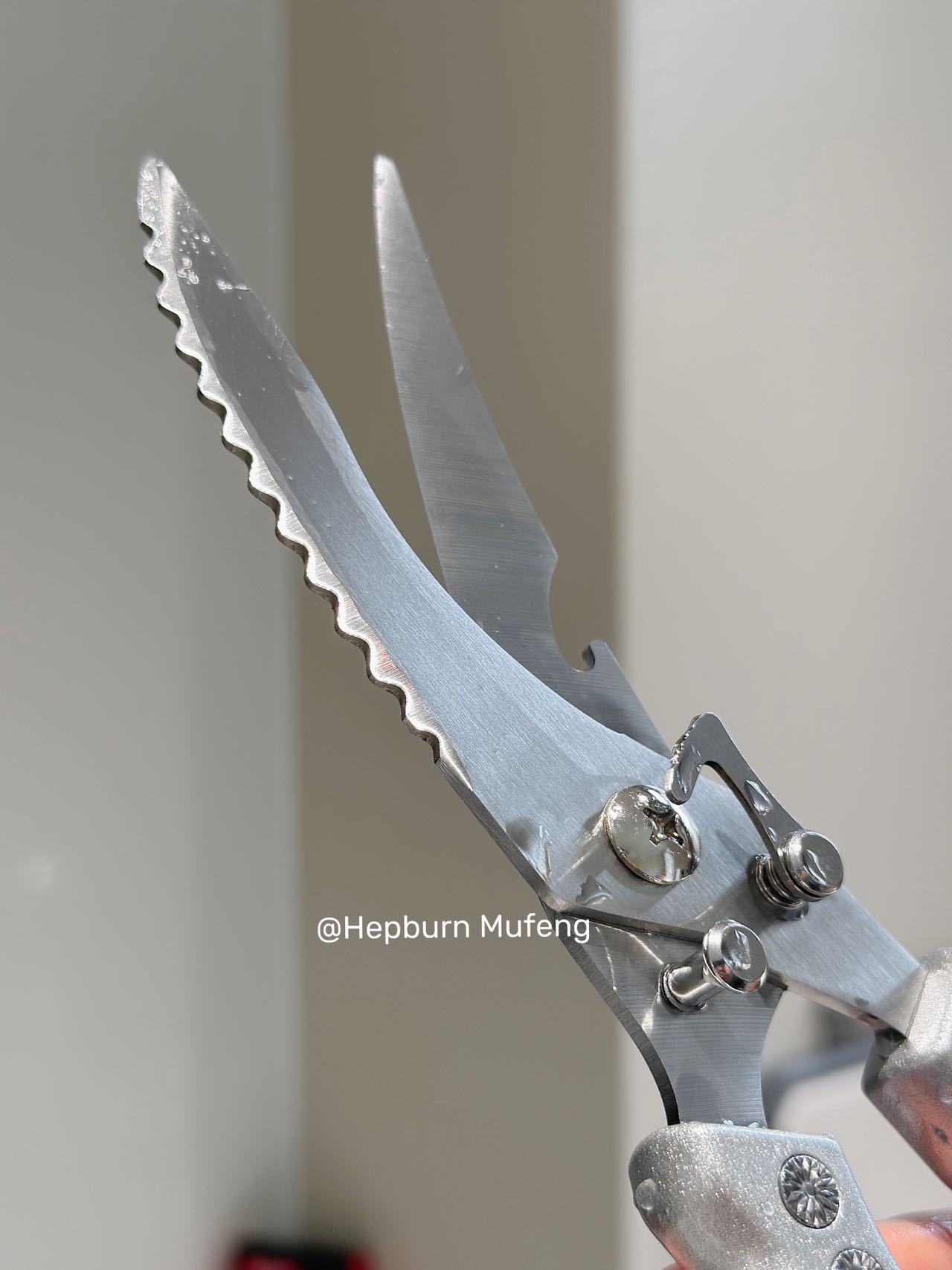 Stainless Steel Kitchen Shears