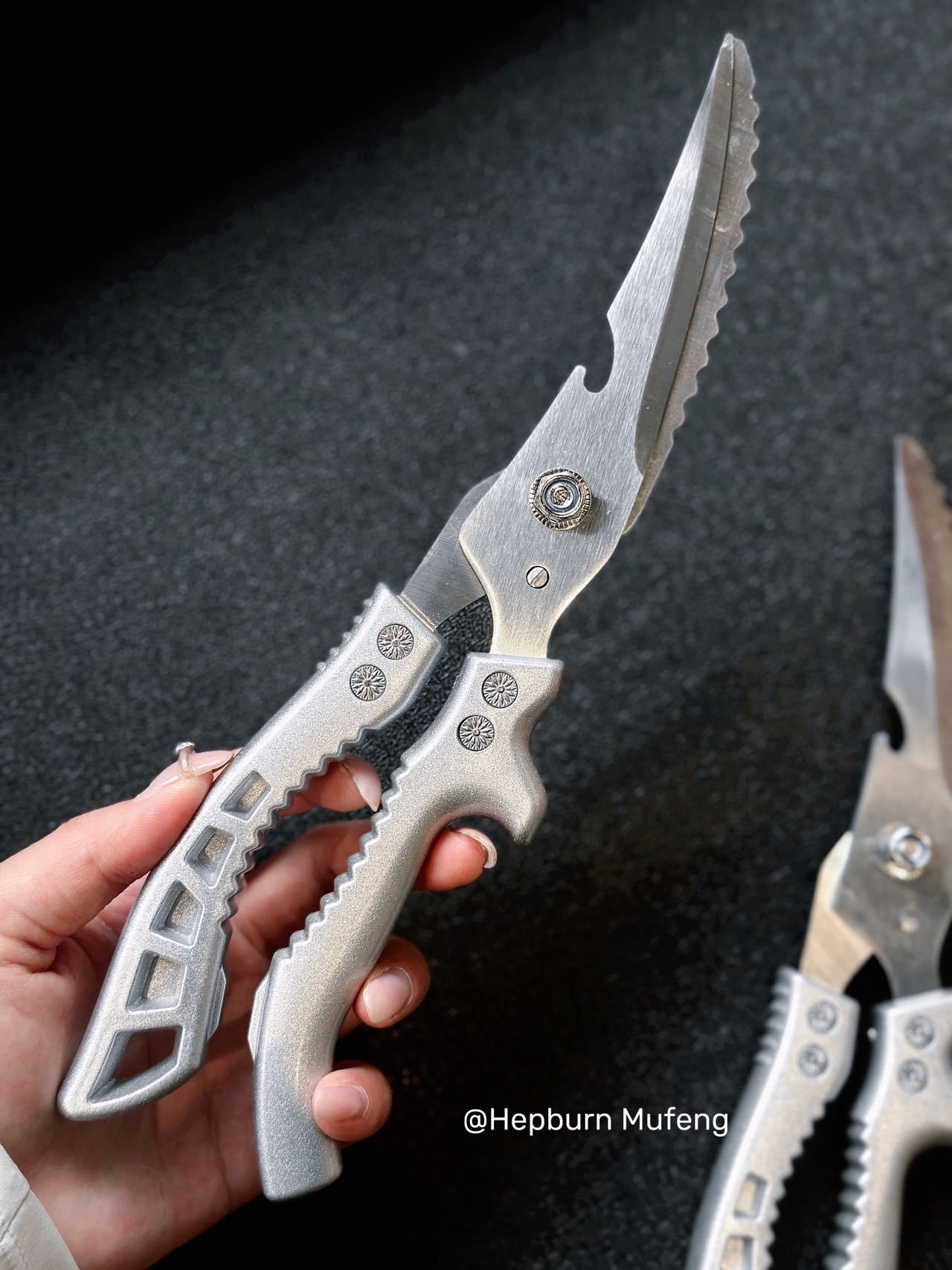 Stainless Steel Kitchen Shears